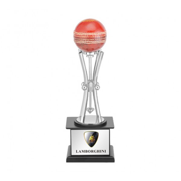 trophy with cricket ball