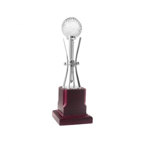 silver trophy withcrystal