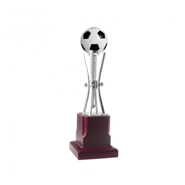 silver trophy with football