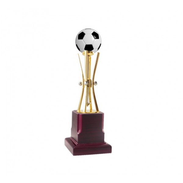 golden trophy with football new