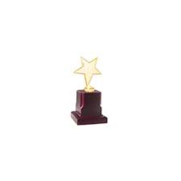 golden star trophy